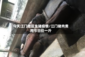 今天江门地区生猪疫情/江门猪肉费用今日价一斤