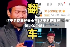辽宁卫视春晚宋小宝(辽宁卫视春晚宋小宝小品)