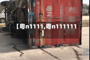 【粤n1111,粤n111111】