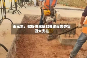 王元丰：做好供应链ESG建设需夯实四大支柱