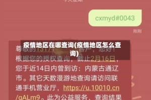 疫情地区在哪查询(疫情地区怎么查询)