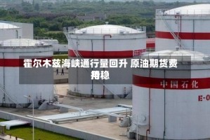 霍尔木兹海峡通行量回升 原油期货费用持稳