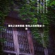 重生之浅笑倾城/重生之浅笑倾城 小说