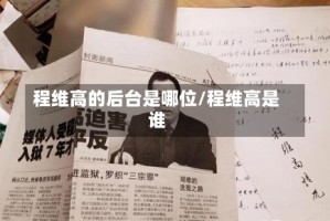 程维高的后台是哪位/程维高是谁