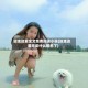 边走边爱全文免费阅读小说(边走边爱改成什么歌名了)
