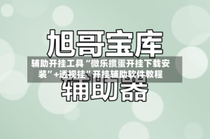 辅助开挂工具“微乐掼蛋开挂下载安装”+透视挂”开挂辅助软件教程