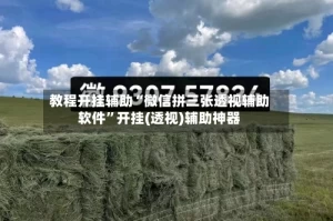 教程开挂辅助“微信拼三张透视辅助软件”开挂(透视)辅助神器
