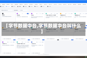 【字节数据中台,字节数据中台叫什么】