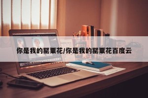 你是我的罂粟花/你是我的罂粟花百度云
