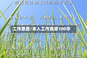 工作意愿/本人工作意愿100字