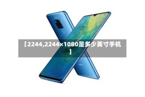 【2244,2244×1080是多少英寸手机】