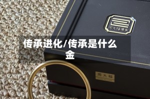 传承进化/传承是什么金