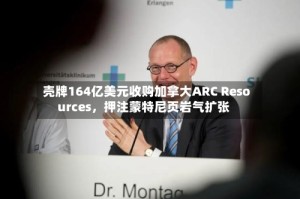 壳牌164亿美元收购加拿大ARC Resources，押注蒙特尼页岩气扩张