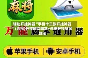 辅助开挂神器“手机十三张开挂神器”(透视)开挂辅助脚本+详细开挂安装教程