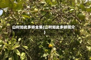 山村如此多娇全集(山村如此多娇简介)