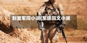 刺激军同小说(军旅同文小说)