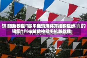 辅助教程“微乐捉鸡麻将开挂教程步骤图”科技辅助神器手机版教程