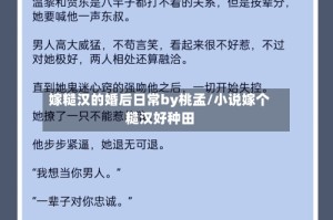 嫁糙汉的婚后日常by桃孟/小说嫁个糙汉好种田