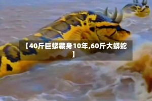 【40斤巨蟒藏身10年,60斤大蟒蛇】