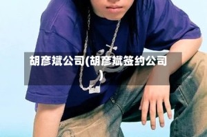 胡彦斌公司(胡彦斌签约公司)