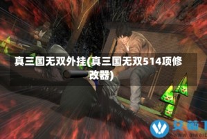真三国无双外挂(真三国无双514项修改器)