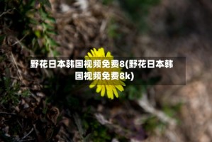野花日本韩国视频免费8(野花日本韩国视频免费8k)