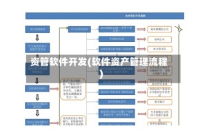 资管软件开发(软件资产管理流程)