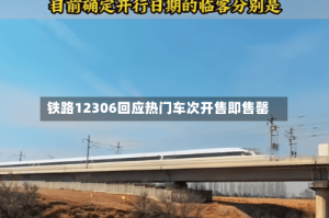 铁路12306回应热门车次开售即售罄