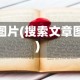 文章图片(搜索文章图片)
