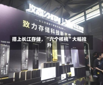 搭上长江存储，“六个核桃”大幅拉升