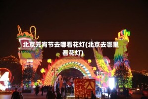 北京元宵节去哪看花灯(北京去哪里看花灯)
