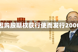 鹰君因购股期权获行使而发行2000股