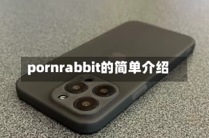 pornrabbit的简单介绍
