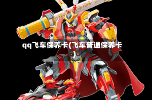 qq飞车保养卡(飞车普通保养卡)