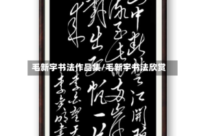 毛新宇书法作品集/毛新宇书法欣赏