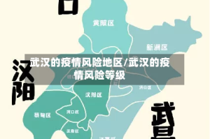 武汉的疫情风险地区/武汉的疫情风险等级