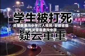 灵璧县渔沟中学打人视频/安徽省宿州市灵璧县渔沟中学