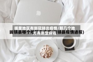 哪里地区有新冠肺炎疫情/那几个地方有新型病毒