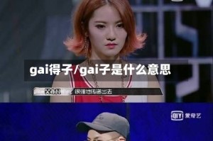 gai得子/gai子是什么意思