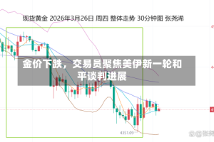 金价下跌，交易员聚焦美伊新一轮和平谈判进展