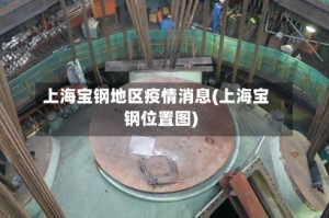 上海宝钢地区疫情消息(上海宝钢位置图)