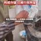 驱车千里维权！一文梳理190元榴莲仅退款事件