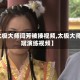 【太极大师闫芳被揍视频,太极大师赵斌演练视频】