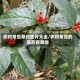 农村常见草药图片大全/农村常见的草药有哪些