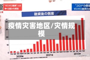 疫情灾害地区/灾情规模