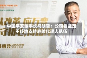 中国平安董事长马明哲：公司会坚定不移地支持寿险代理人队伍