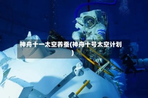 神舟十一太空养蚕(神舟十号太空计划)