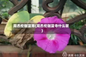 周杰伦伽蓝雨(周杰伦珈蓝寺什么歌)