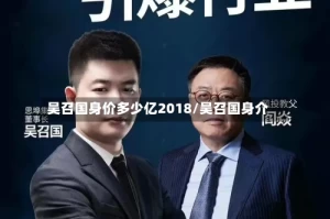 吴召国身价多少亿2018/吴召国身介
