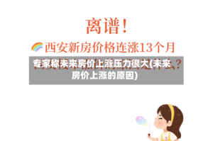 专家称未来房价上涨压力很大(未来房价上涨的原因)